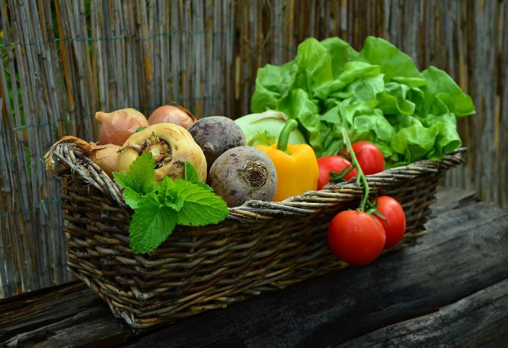 vegetables, basket, vegetable basket, harvest, produce, organic, fresh, fresh produce, fresh vegetables, assorted, nature, food, garden, salad, healthy-752153.jpg